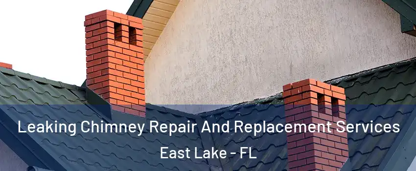  Leaking Chimney Repair And Replacement Services East Lake - FL