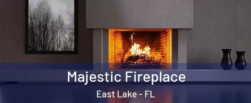  Majestic Fireplace East Lake - FL