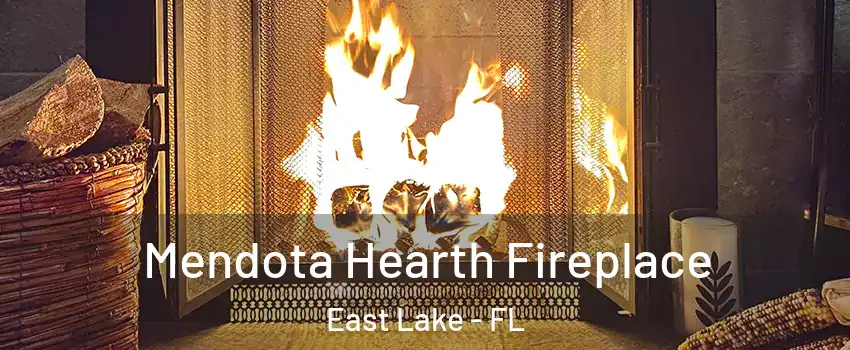  Mendota Hearth Fireplace East Lake - FL