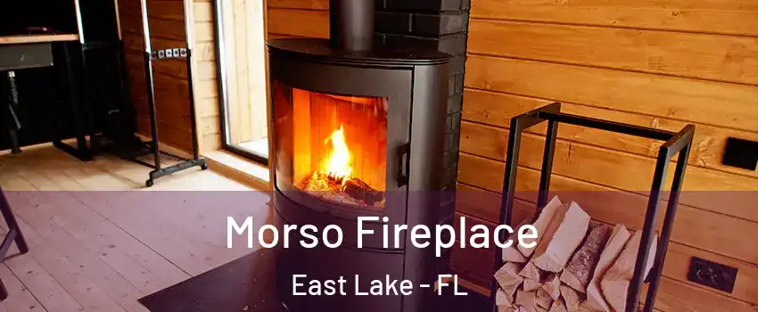  Morso Fireplace East Lake - FL