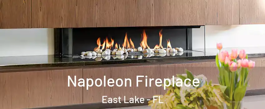  Napoleon Fireplace East Lake - FL