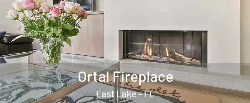  Ortal Fireplace East Lake - FL