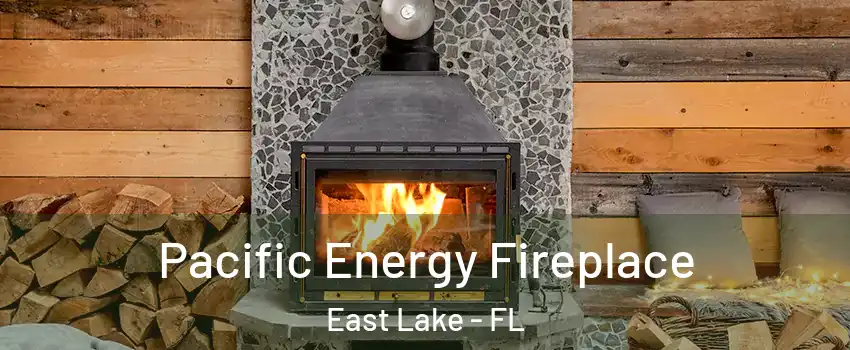  Pacific Energy Fireplace East Lake - FL