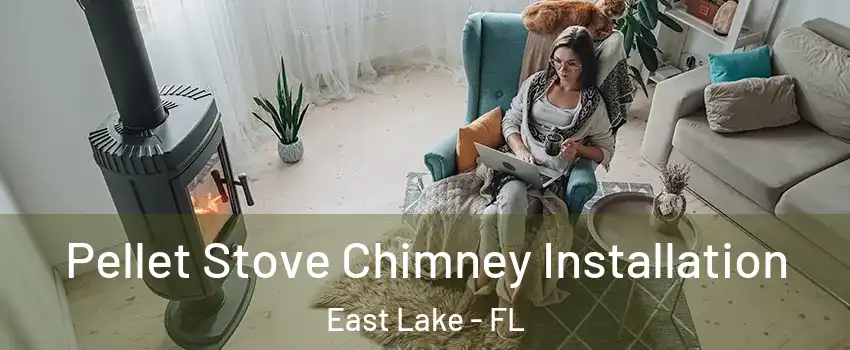  Pellet Stove Chimney Installation East Lake - FL