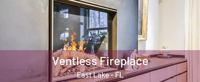  Ventless Fireplace East Lake - FL